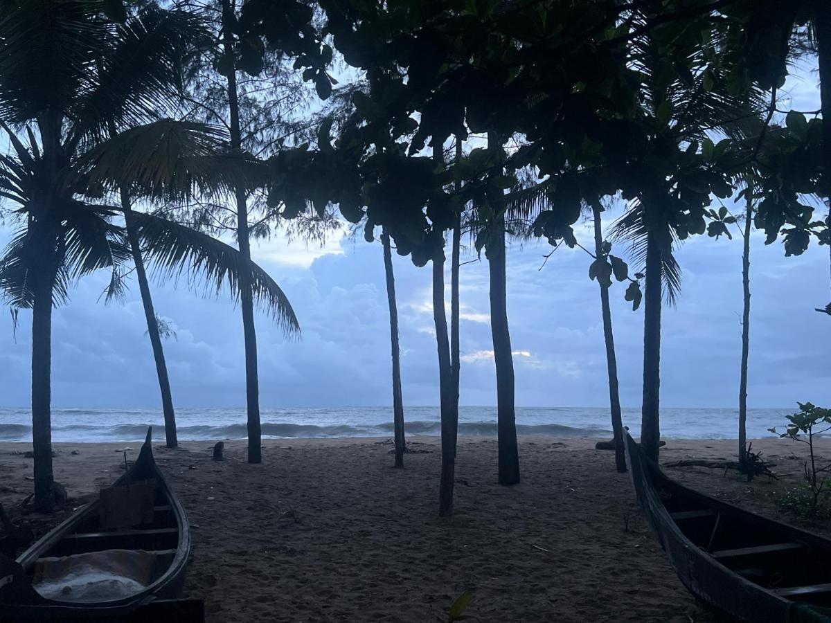 Cherai Beach Retreat Bagian luar foto