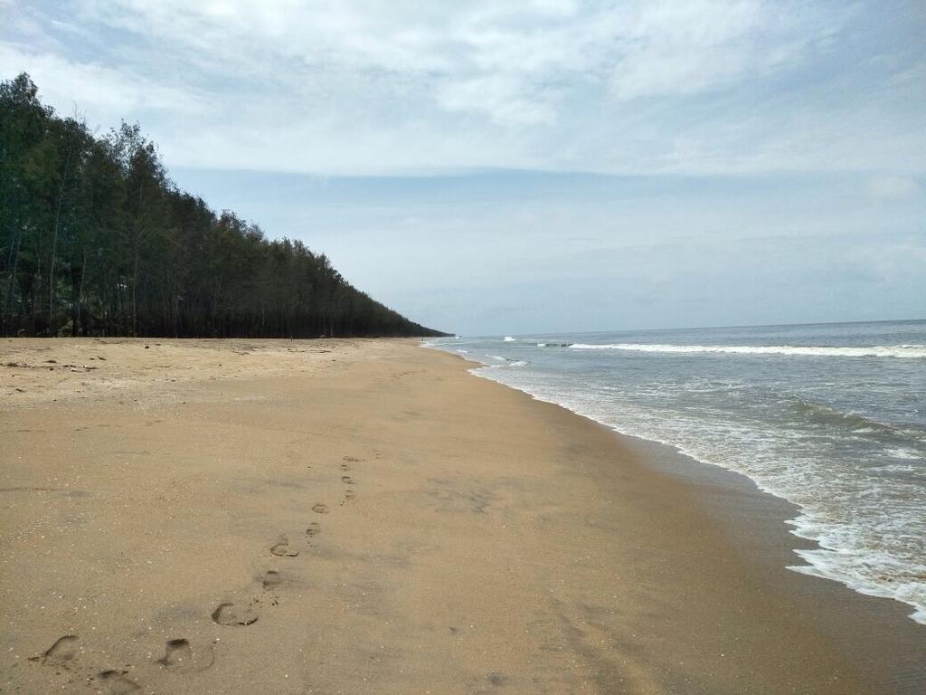 Cherai Beach Retreat Bagian luar foto